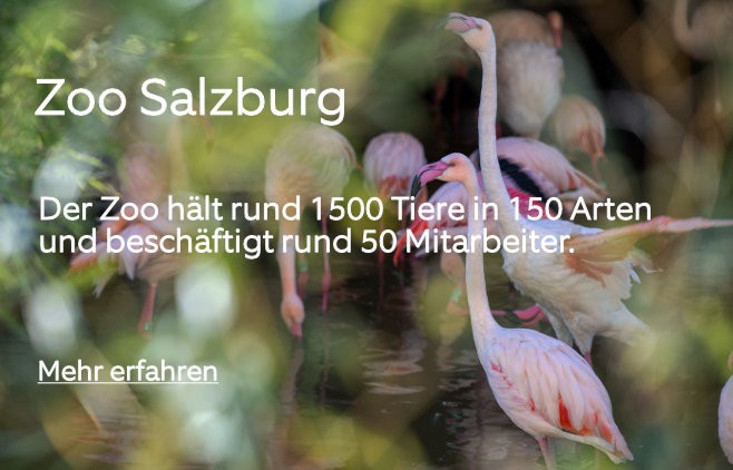 Zoo Salzburg